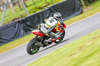Oulton-Park-14th-March-2020;PJ-Motorsport-Photography-2020;anglesey;brands-hatch;cadwell-park;croft;donington-park;enduro-digital-images;event-digital-images;eventdigitalimages;mallory;no-limits;oulton-park;peter-wileman-photography;racing-digital-images;silverstone;snetterton;trackday-digital-images;trackday-photos;vmcc-banbury-run;welsh-2-day-enduro